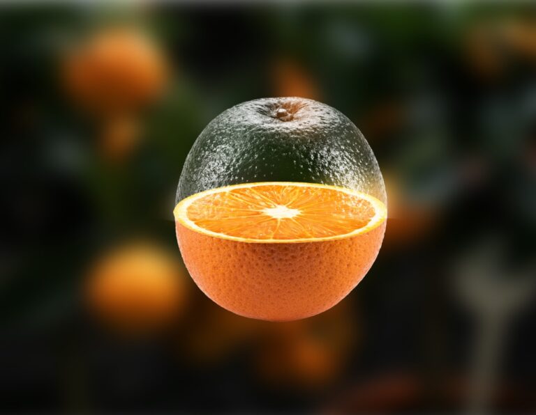 whatsapp image 2025 10 10 at 10.23.06 am